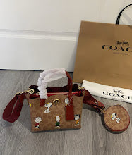 new-elite-designer-bags-nm6294