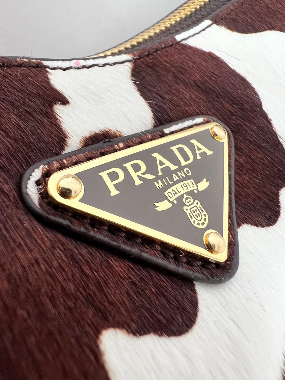 Dragons Bags Pradn Luxury Bag --102734