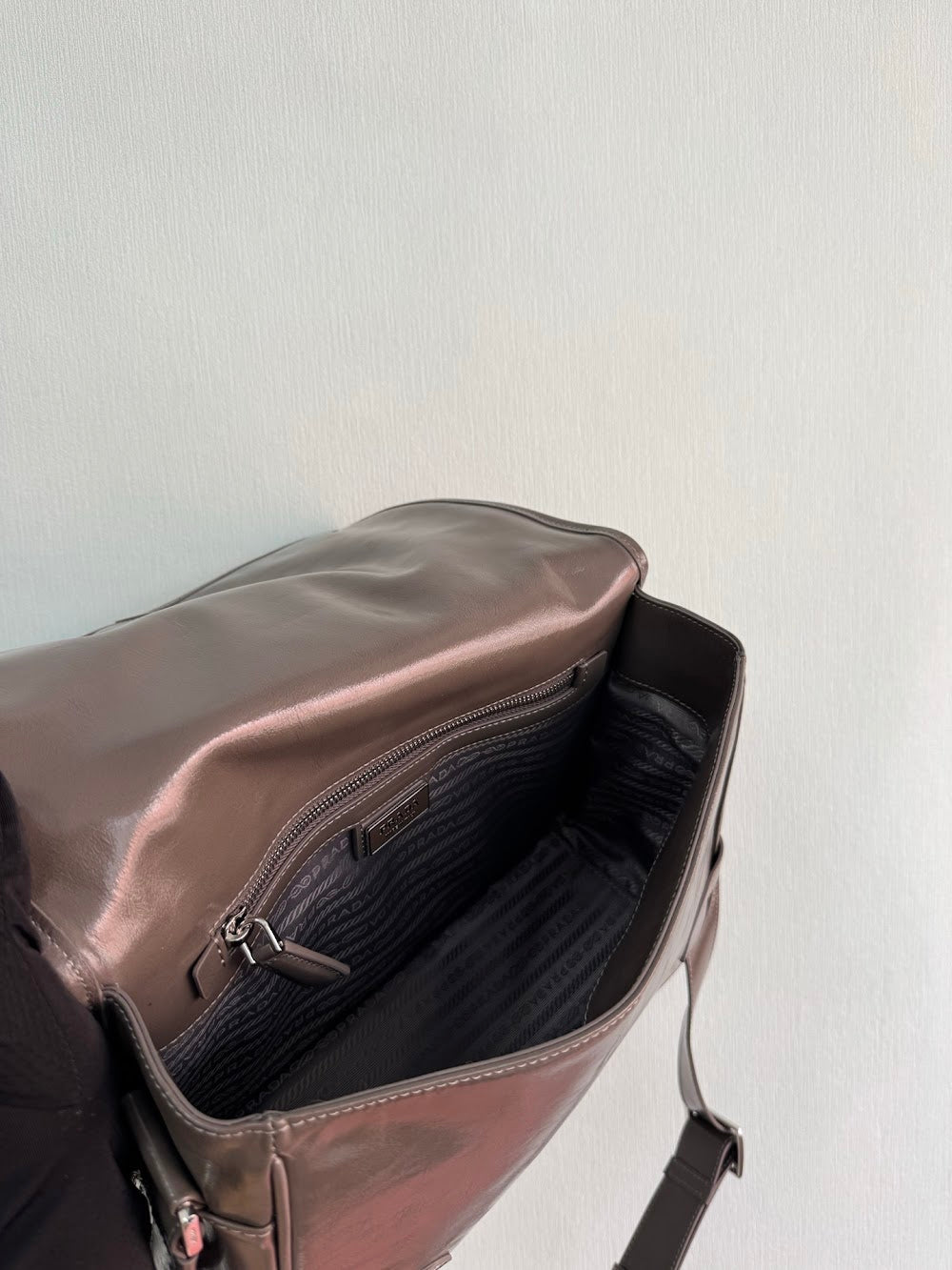 Dragons Bags Pradn Luxury Bag --102951