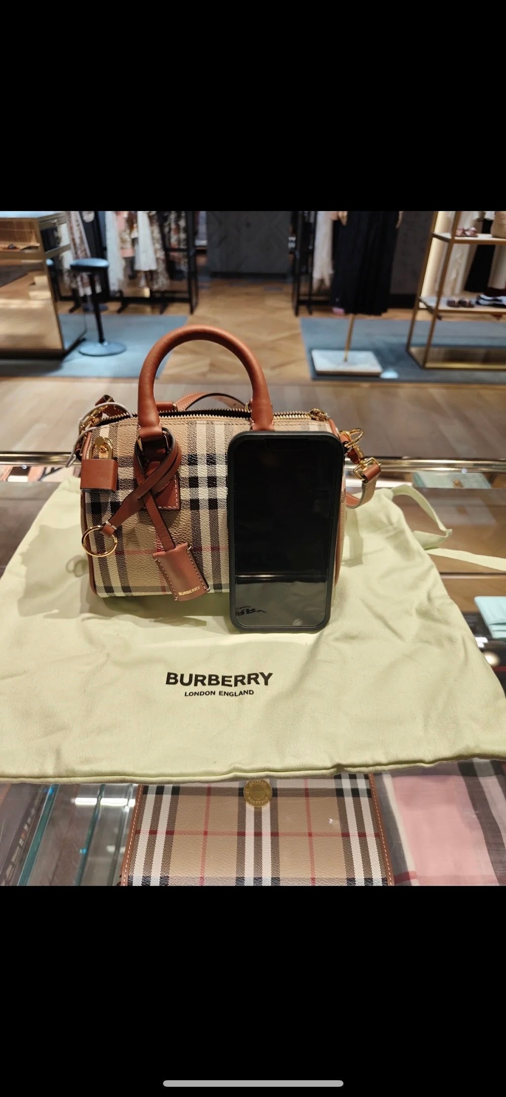 Dragons Bags Burberryn Luxury Bag --92039