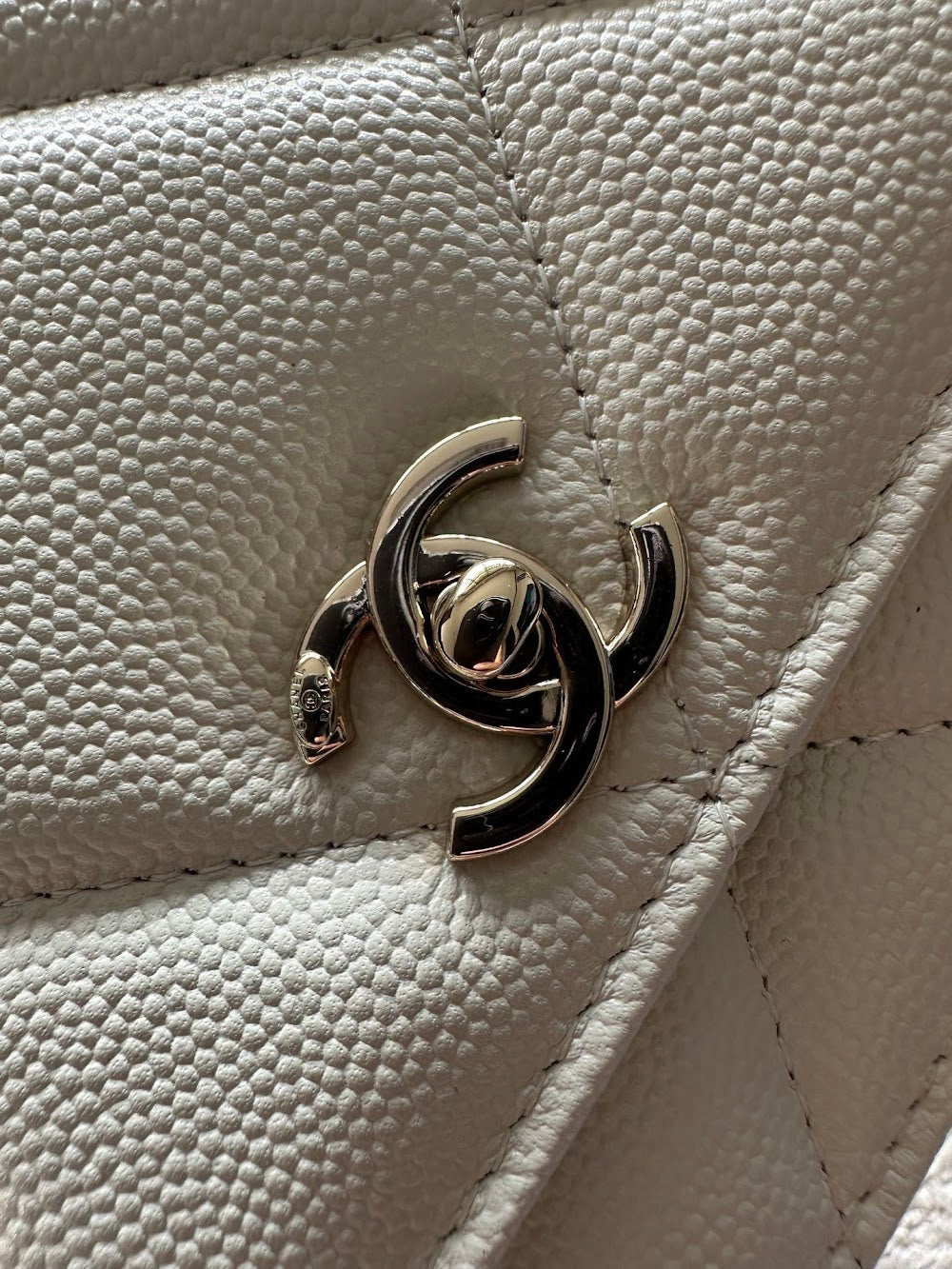 Dragons Bags CHn Luxury Bag --112709