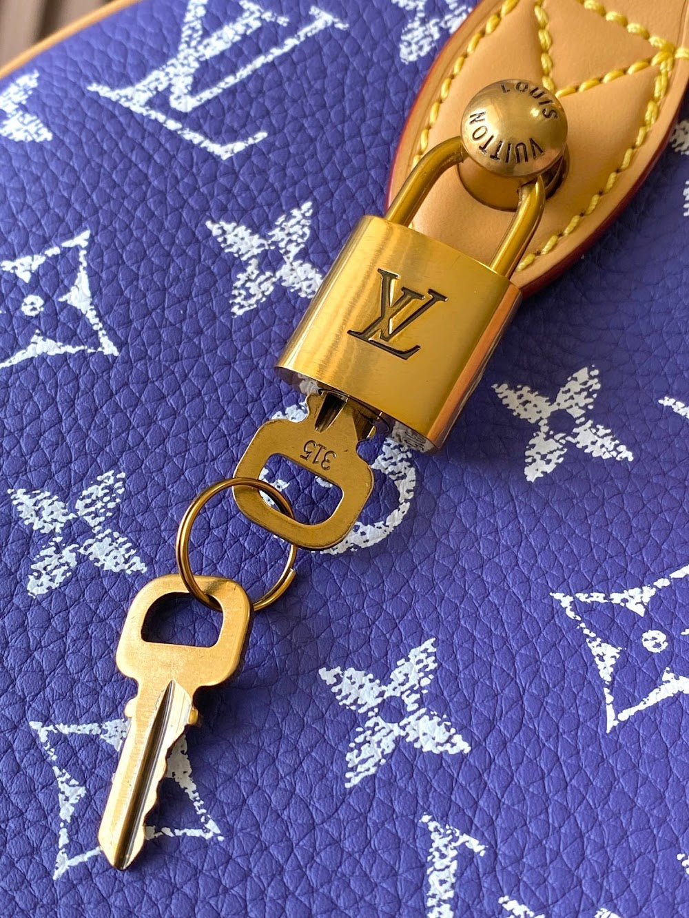 Dragons Bags ln Luxury Bag --97196