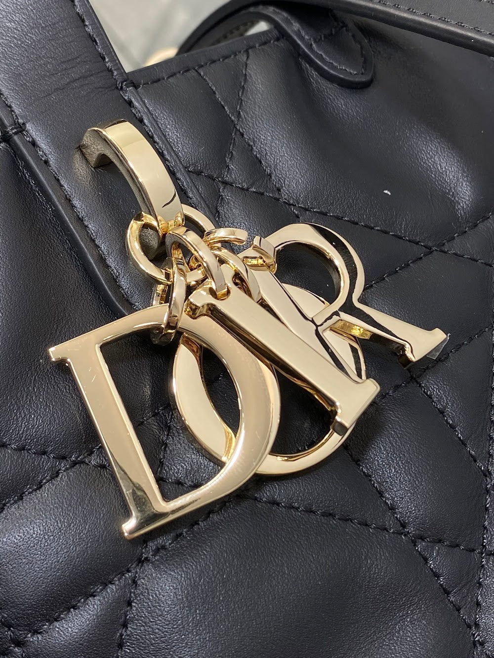 Dragons BagsDiorn Luxury Bag --115659