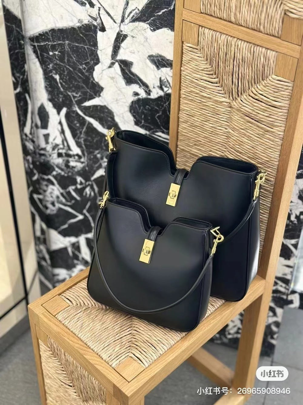 Dragons Bags Celine Luxury Bag --112345