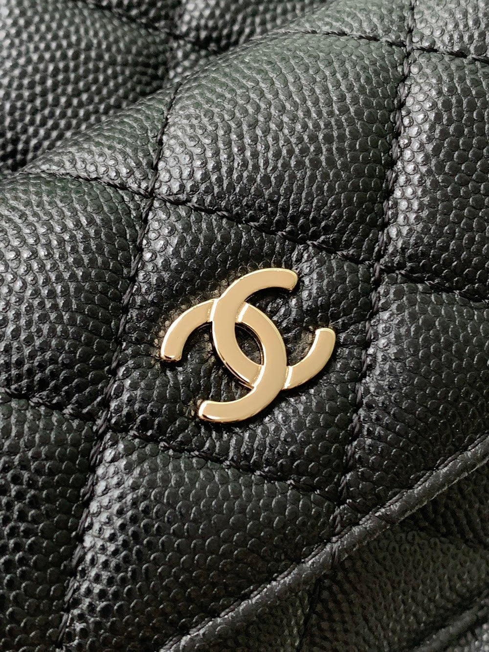Dragons BagsCHn Luxury Bag --113944