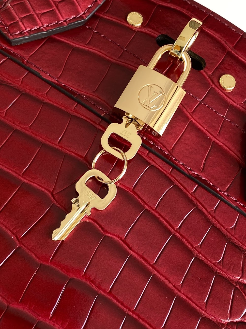 Dragons Bags ln Luxury Bag --96195