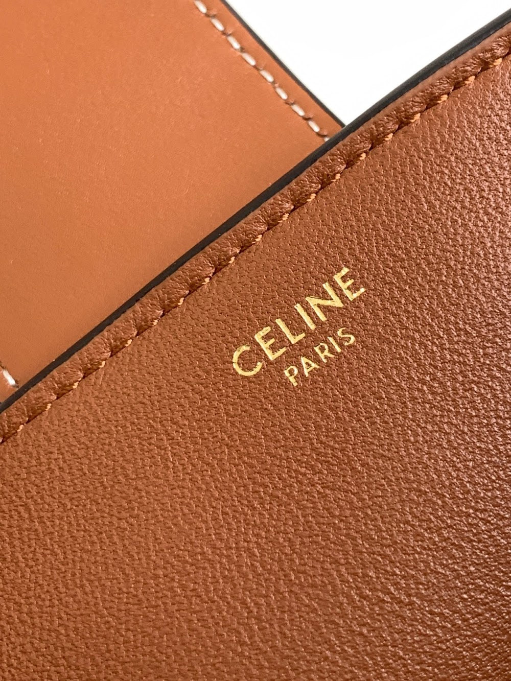 Dragons Bags Celine Luxury Bag --112319
