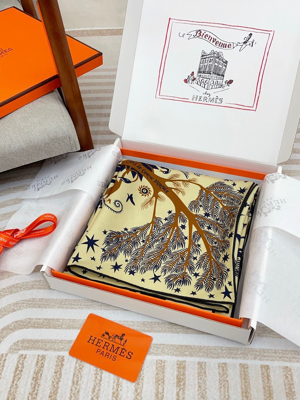 Dragons Bags Premium Designer Scarf --98840