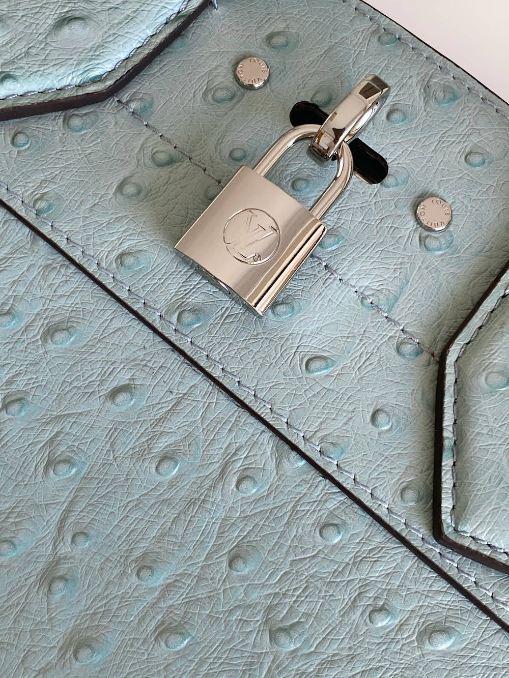 Dragons Bags ln Luxury Bag --96183