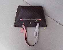 new-luxury-designer-bags-nm6359