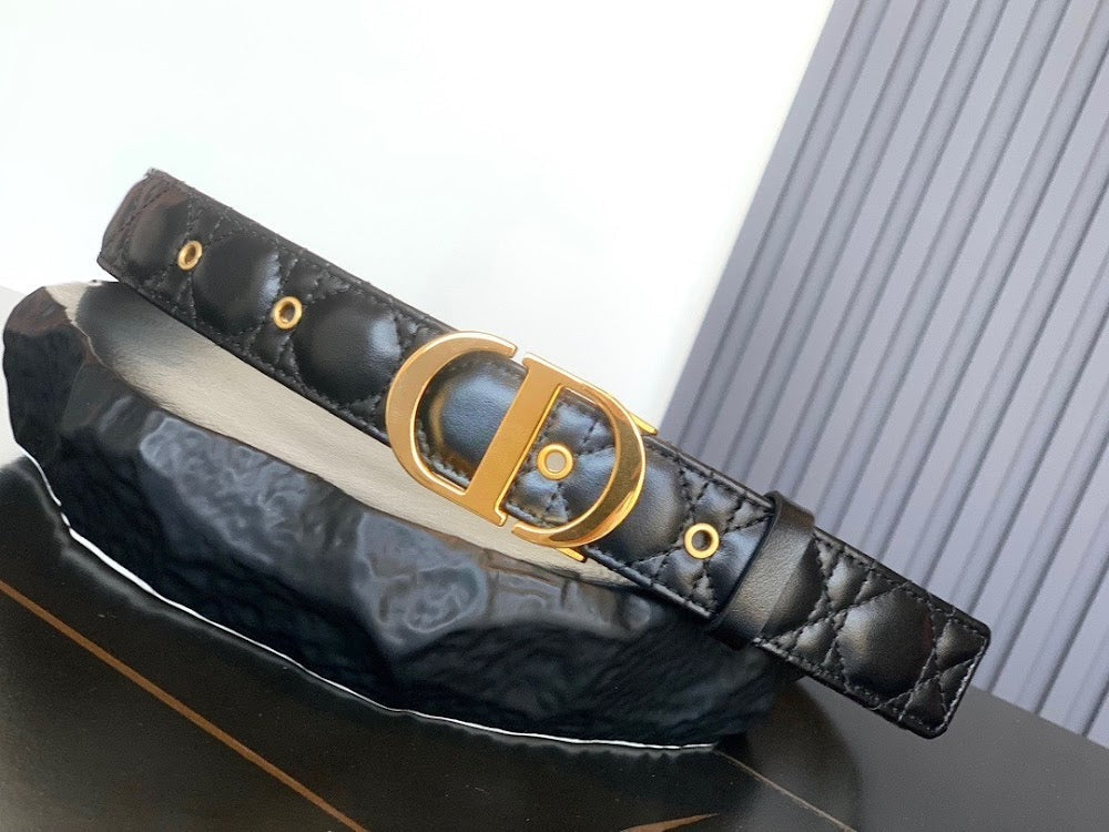 Dragons Bags Diorn Luxury Belt --107846