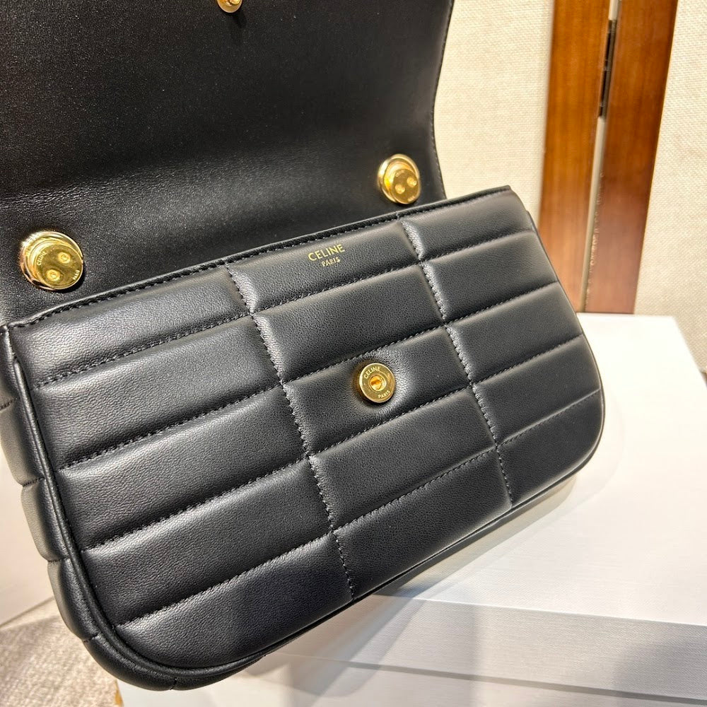 Dragons Bags Celine Luxury Bag --112249
