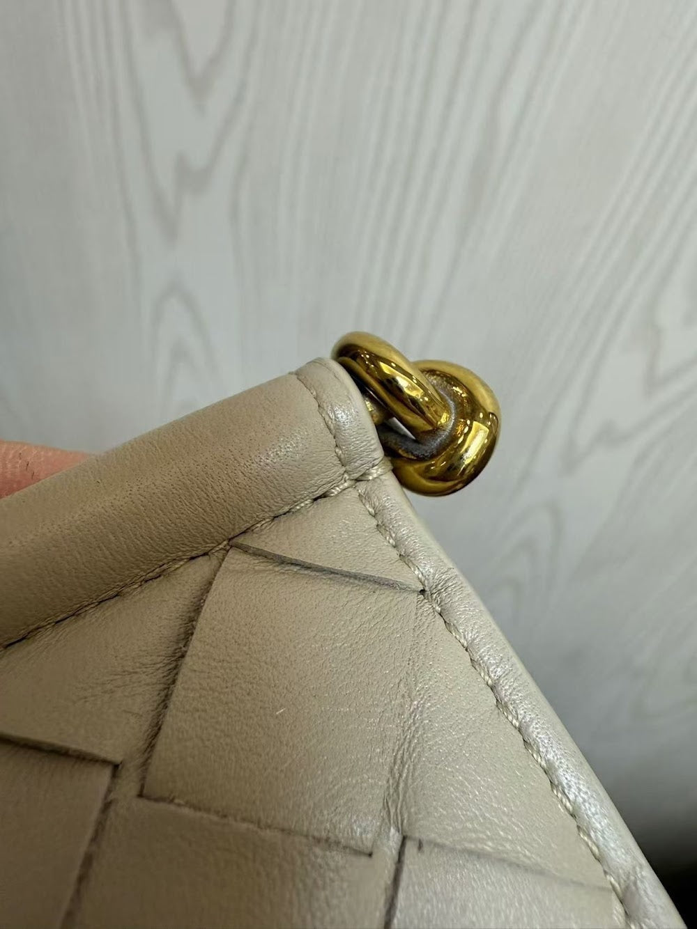 Dragons Bags Bottegan Luxury Bag --90698