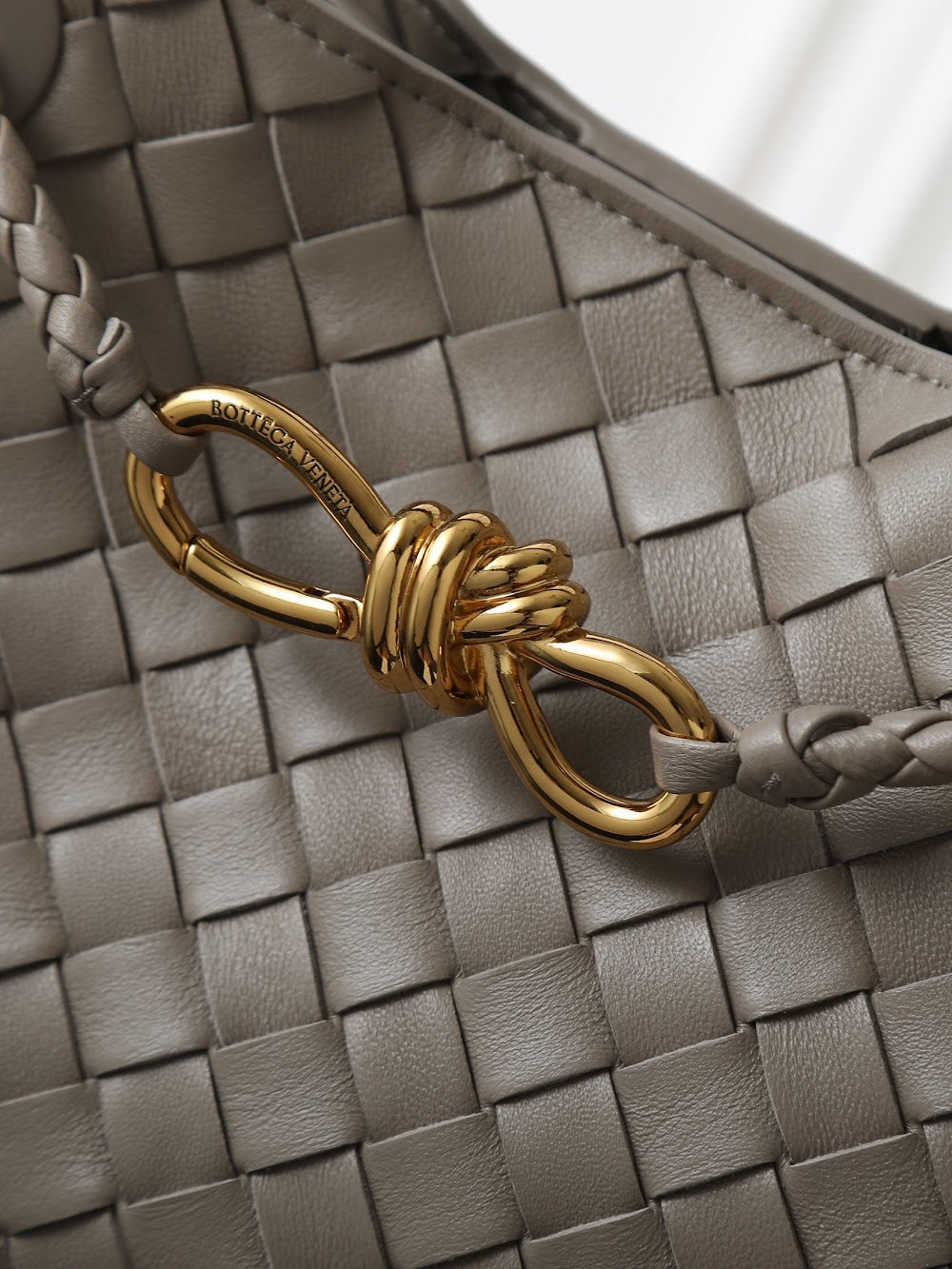 Dragons Bags Bottegan Luxury Bag --91297