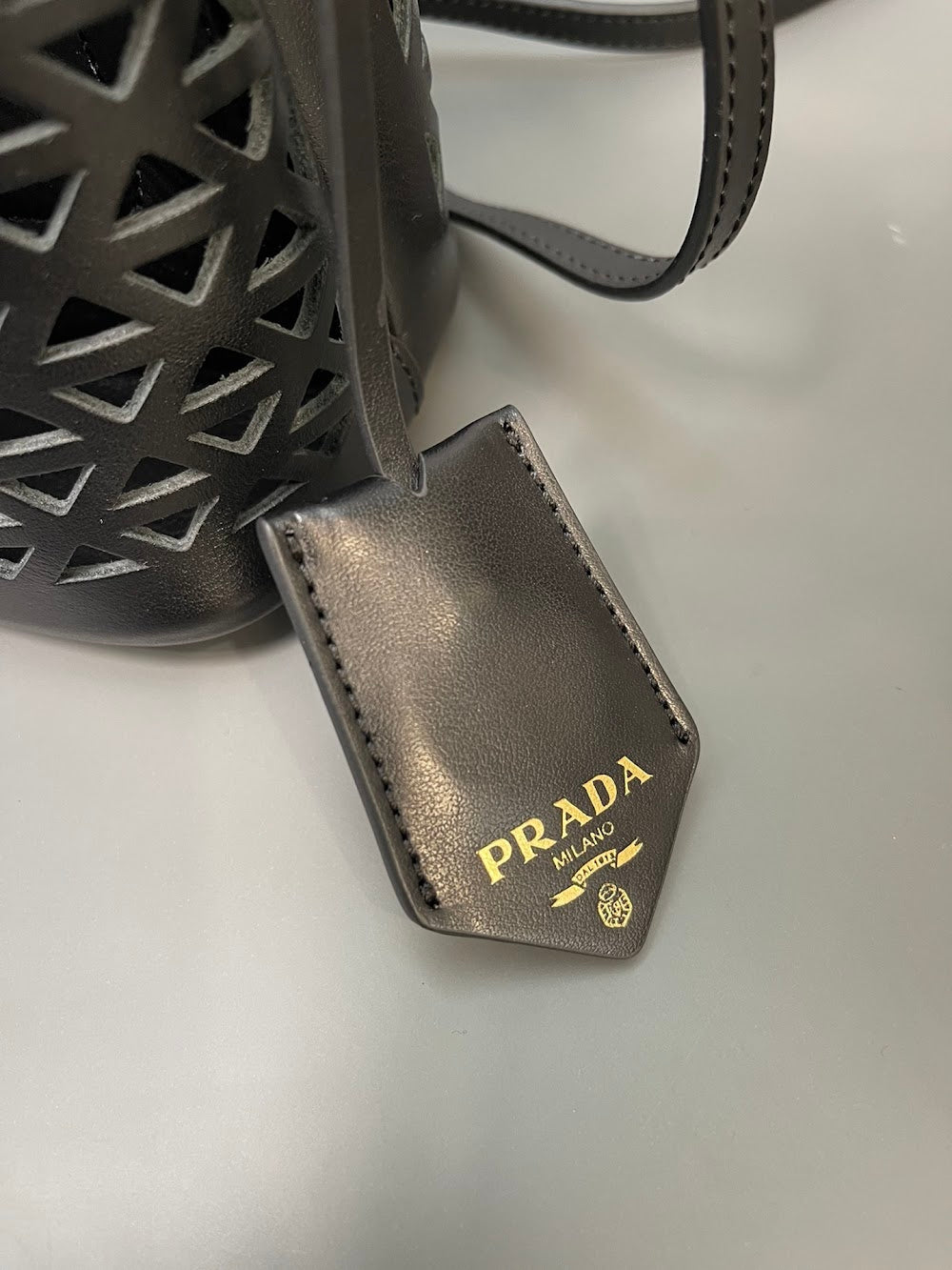 Dragons Bags Pradn Luxury Bag --102050