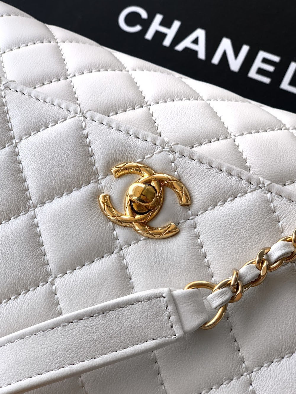 Dragons BagsCHn Luxury Bag --113975