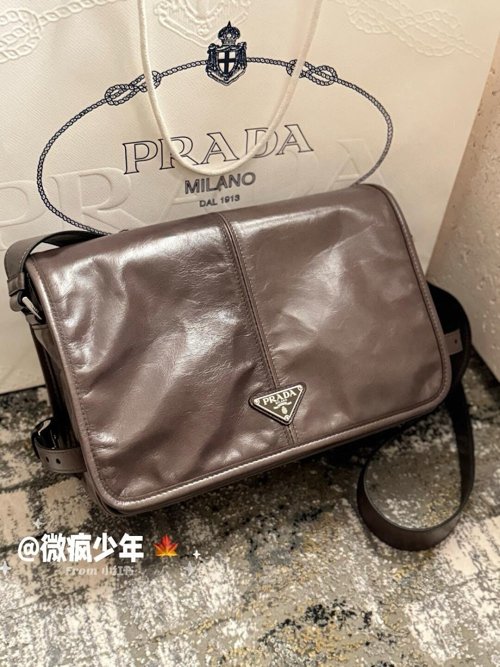 Dragons Bags Pradn Luxury Bag --102950