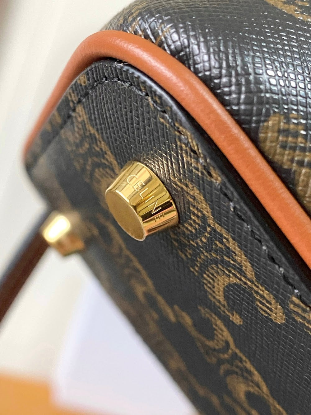Dragons Bags Celine Luxury Bag --112099