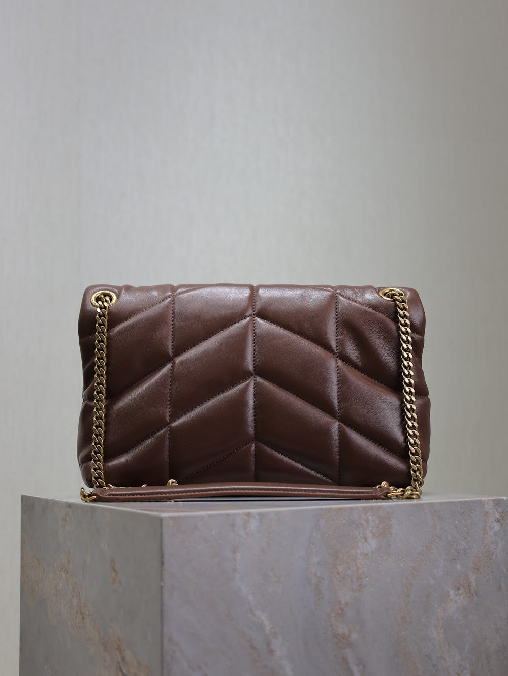Dragons Bags YSLn Luxury Bag --119417