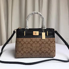 new-luxury-designer-bags-nm6466