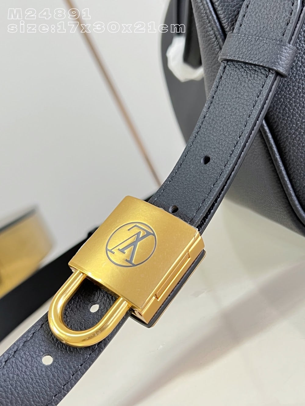 Dragons Bags ln Luxury Bag --96222