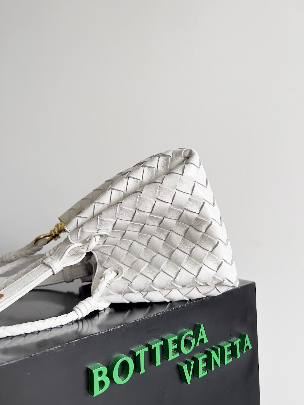 Dragons Bags Bottegan Luxury Bag --90953