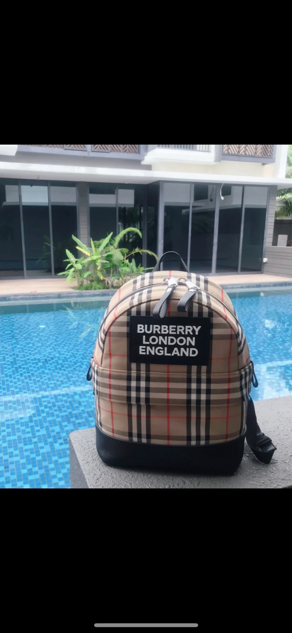 Dragons Bags Burberryn Luxury Bag --93066