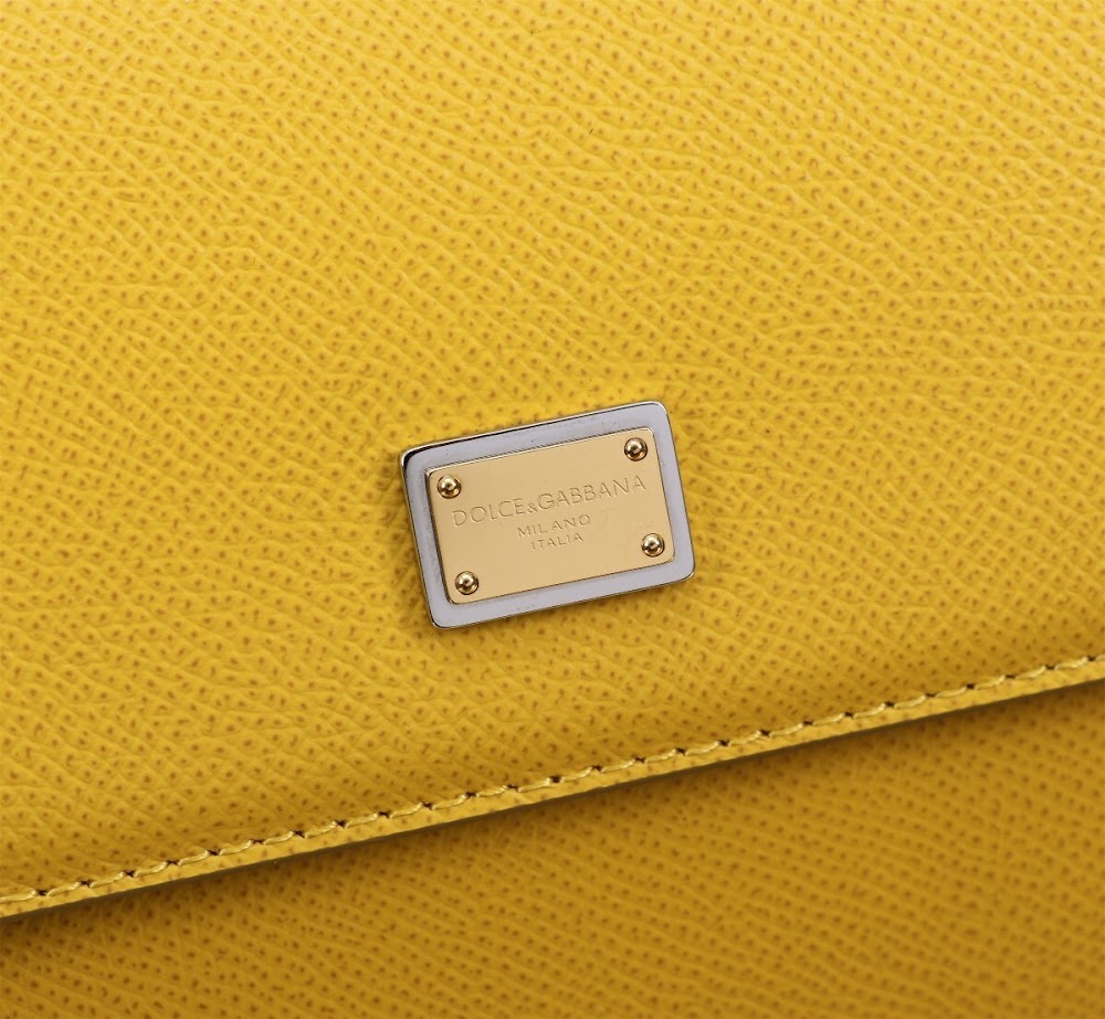 Dragons Bags DGn Luxury Bag --93758