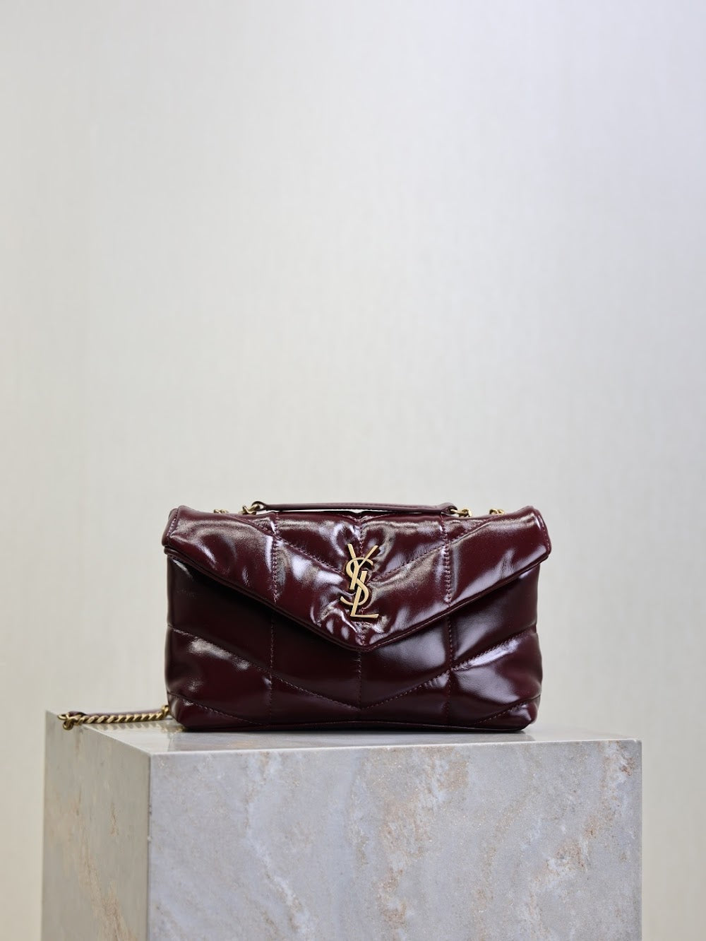 Dragons Bags YSLn Luxury Bag --119720
