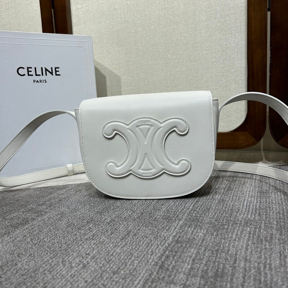 Dragons Bags Celine Luxury Bag --112244