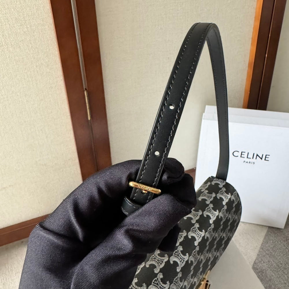 Dragons Bags Celine Luxury Bag --112507