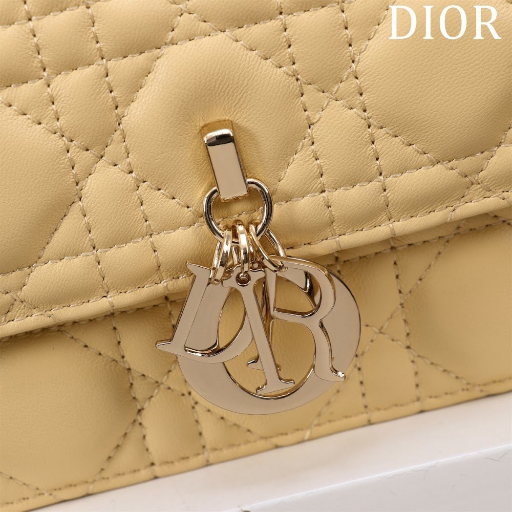 Dragons BagsDiorn Luxury Bag --116293