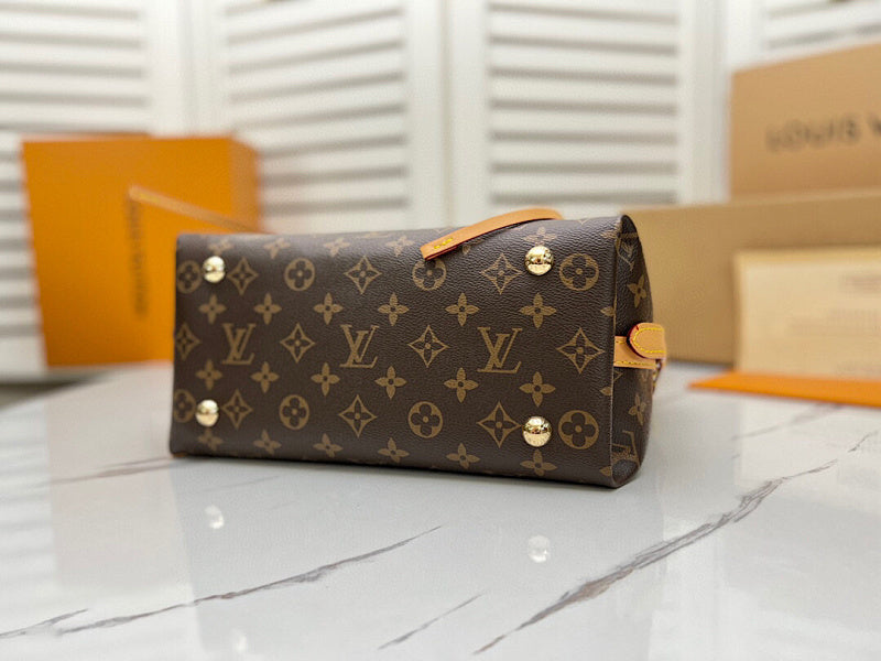 Dragons Bags LVn Luxury Bag --81059