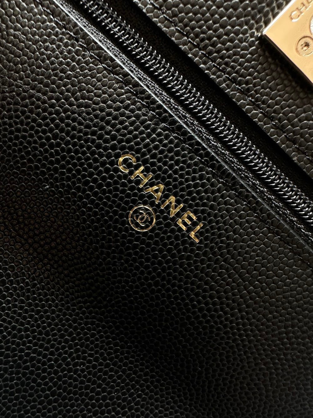 Dragons Bags CHn Luxury Bag --112708