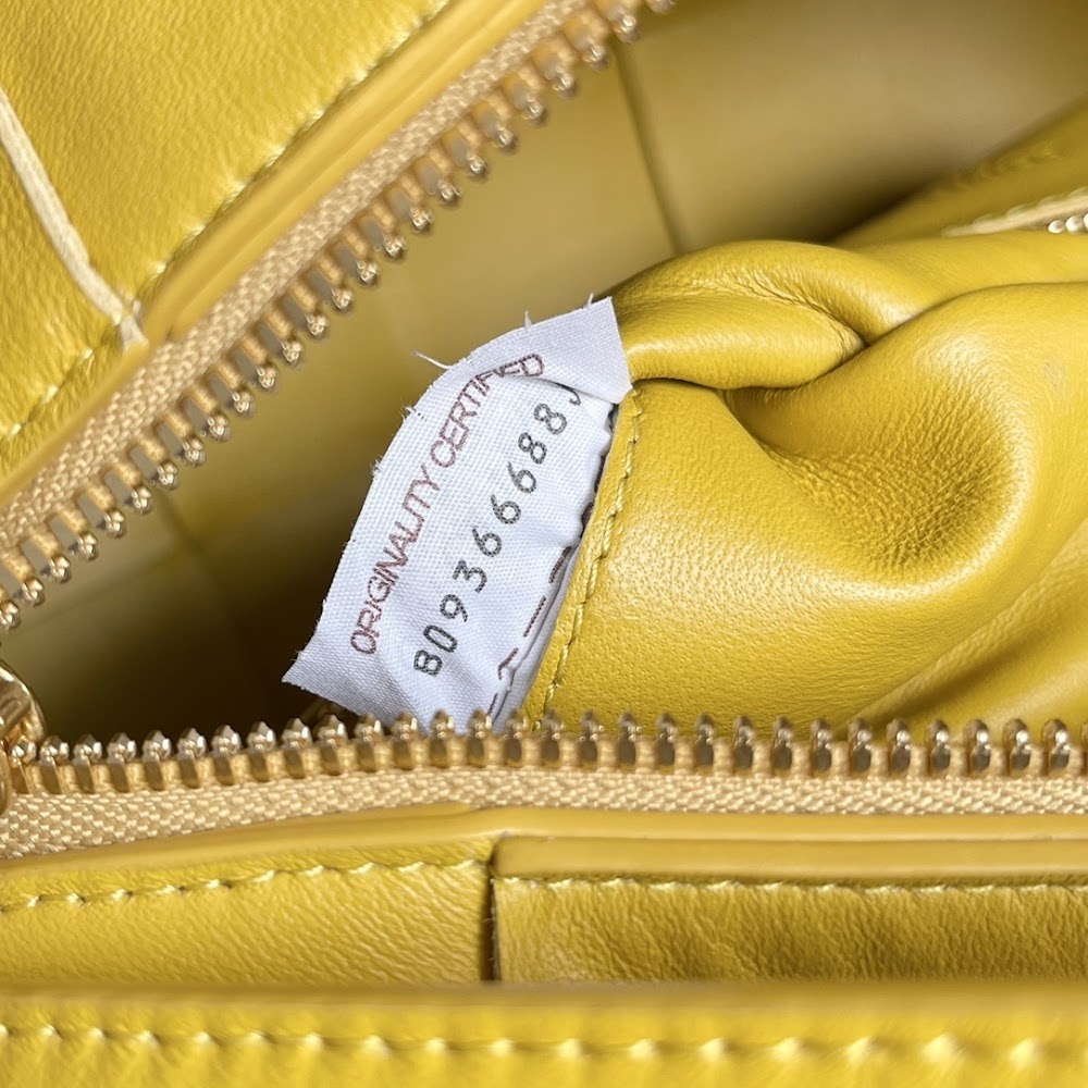 Dragons Bags Bottegan Luxury Bag --90620