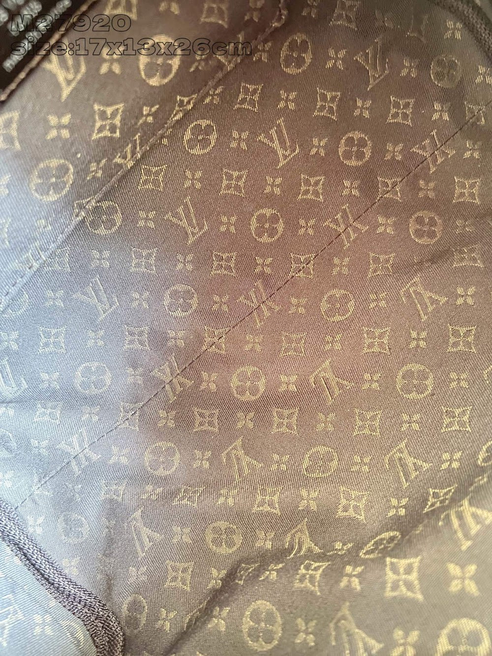 Dragons Bags ln Luxury Bag --95837