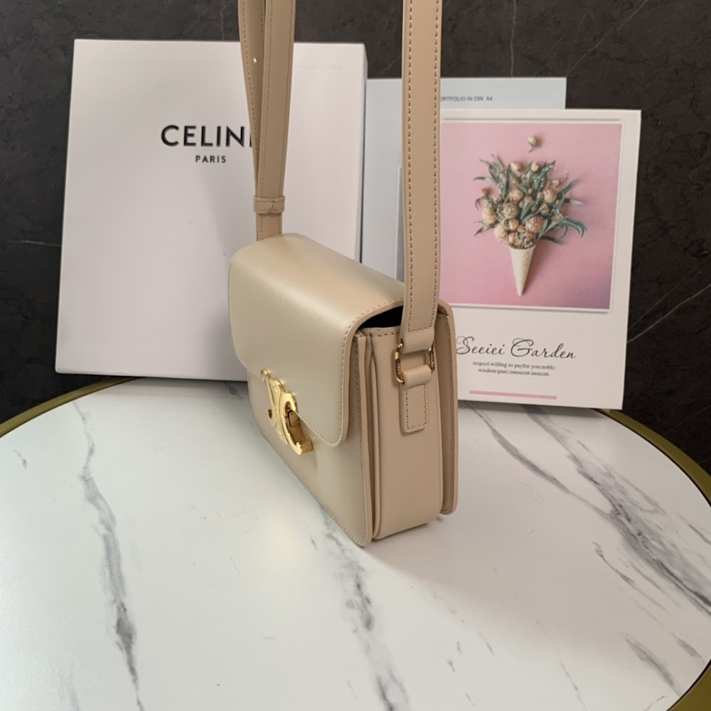 Dragons Bags Celine Luxury Bag --111983
