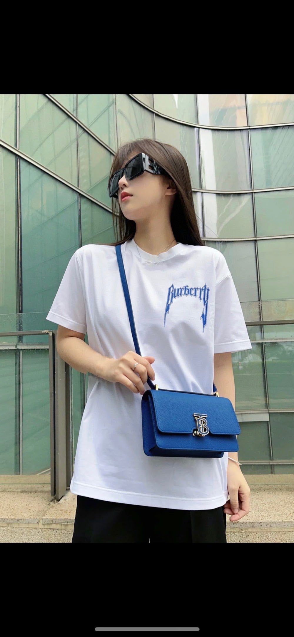 Dragons Bags Burberryn Luxury Bag --91607