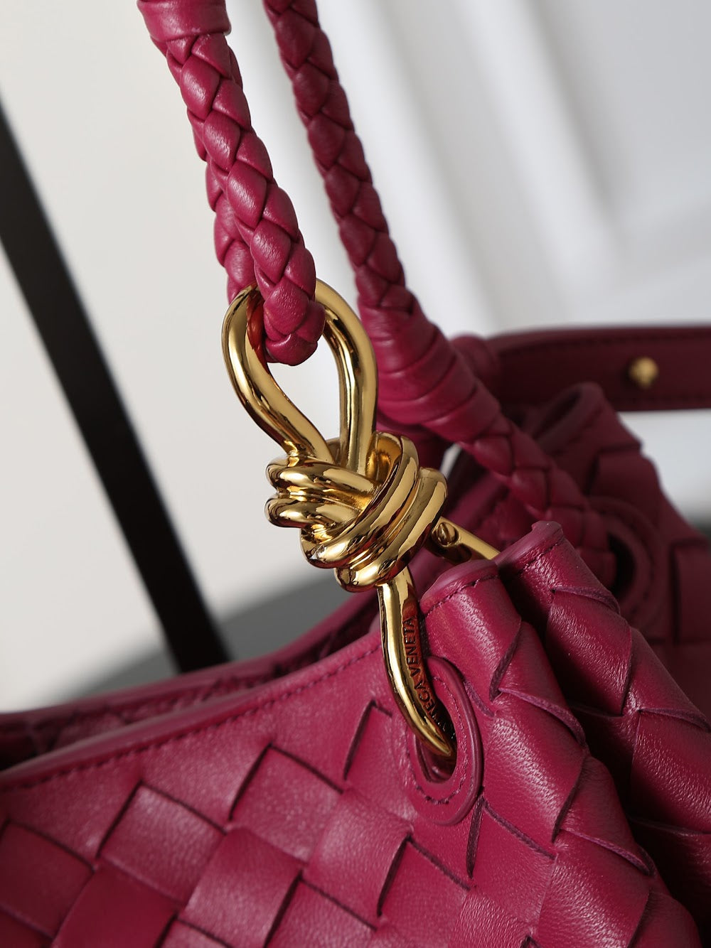 Dragons Bags Bottegan Luxury Bag --91363