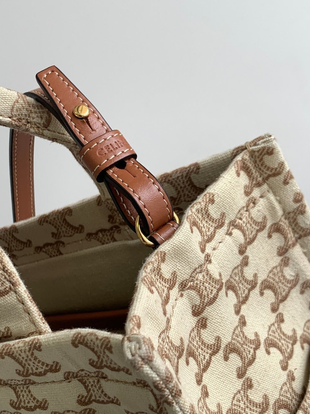 Dragons Bags Celine Luxury Bag --112124