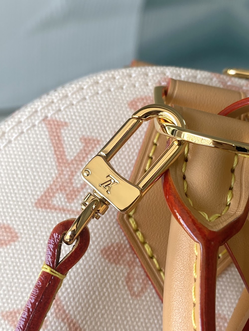 Dragons Bags ln Luxury Bag --95823