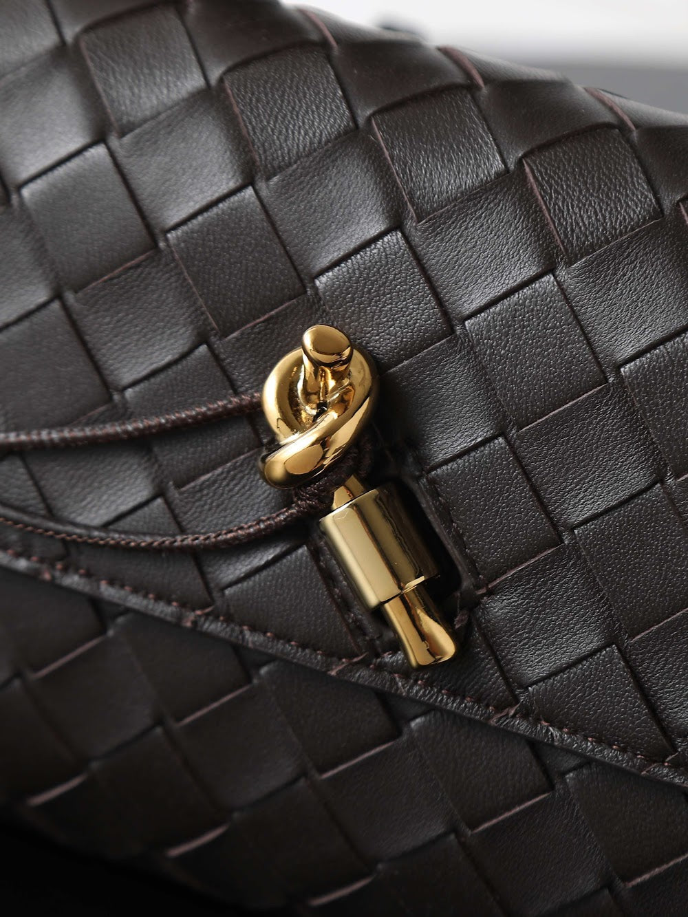 Dragons Bags Bottegan Luxury Bag --91394