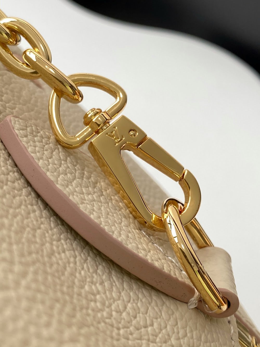 Dragons Bags LVn Luxury Bag --79936