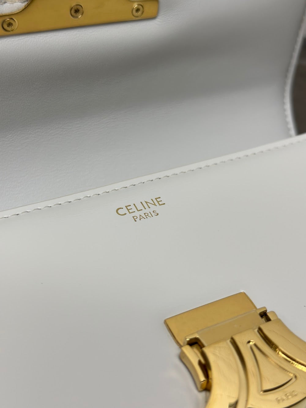 Dragons Bags Celine Luxury Bag --112538