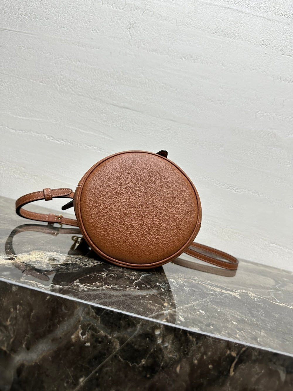 Dragons Bags Celine Luxury Bag --112556