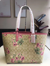 new-designer-premium-bags-nm6445