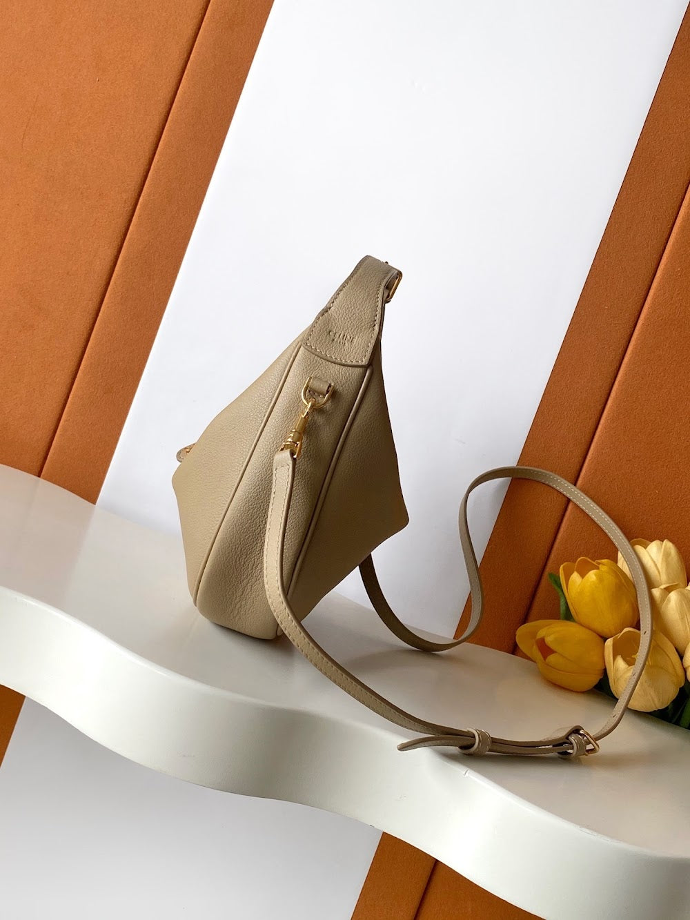 Dragons Bags Celine Luxury Bag --112079
