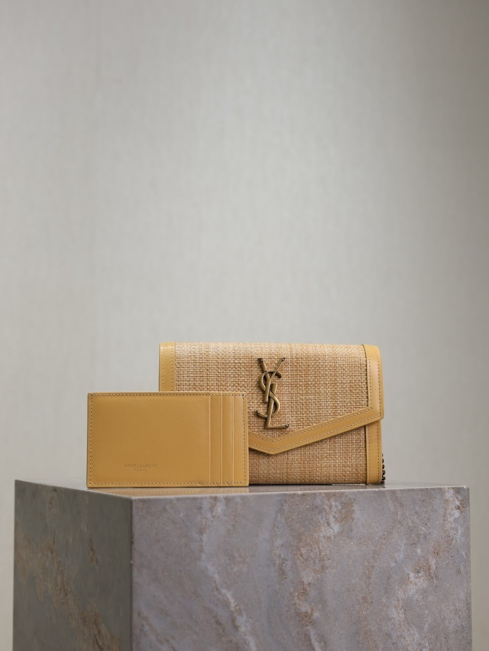 Dragons Bags YSLn Luxury Bag --119168