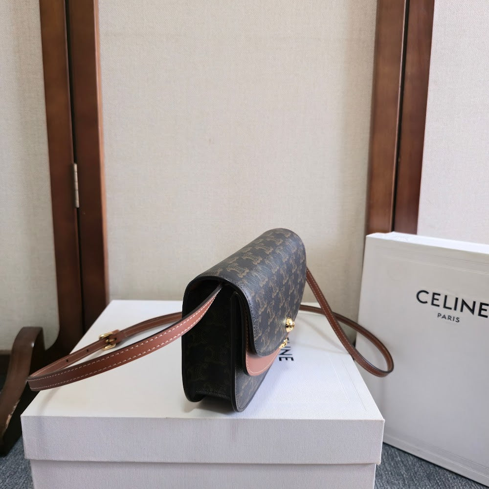 Dragons Bags Celine Luxury Bag --112540