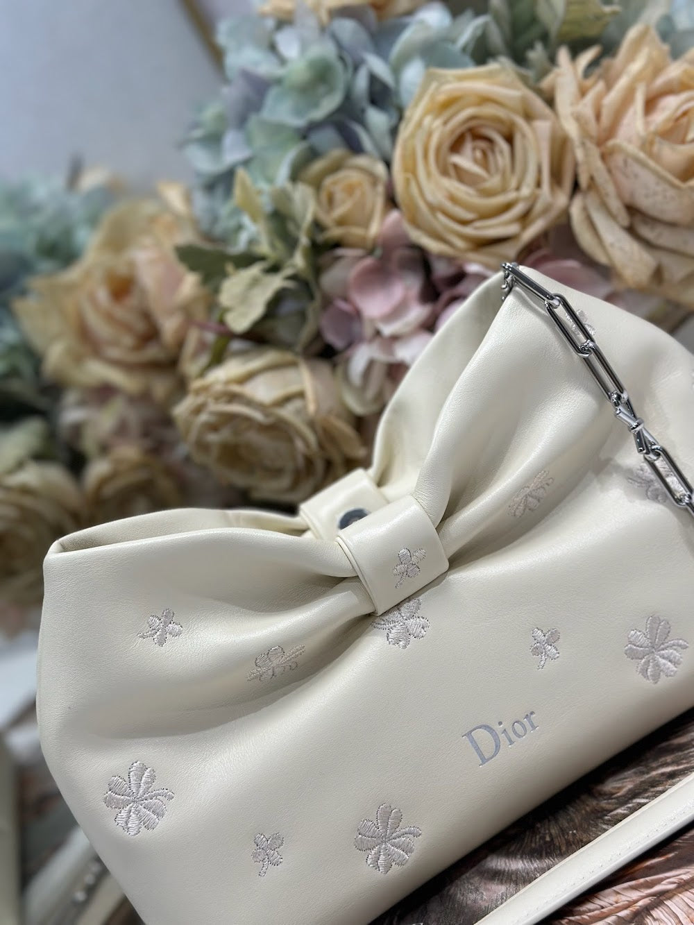 Dragons BagsDiorn Luxury Bag --115480